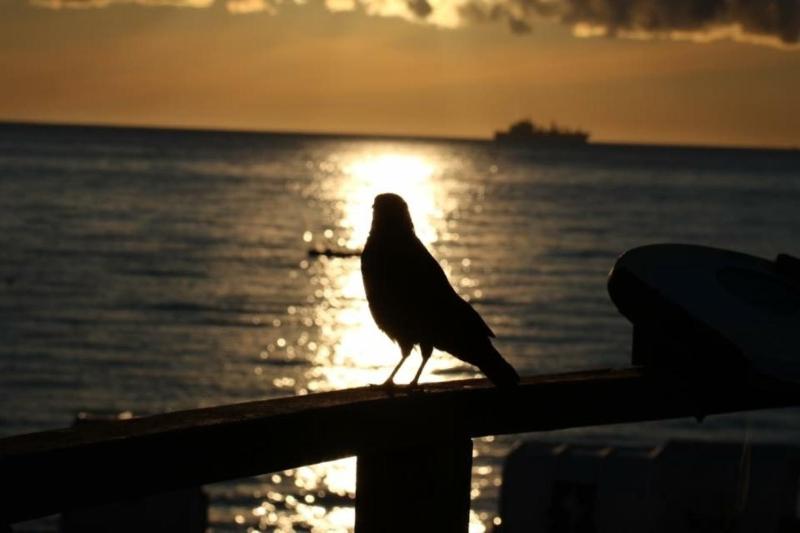 Maris Ferienwohnung Nr 48 OG mit Balkon und Meerblick - image 16