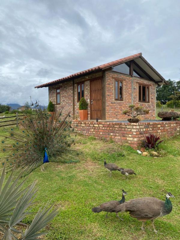 Cabaña lagovilla - image 1