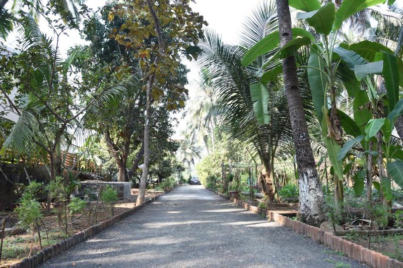 Bapunchi Wadi beach-house - image 25