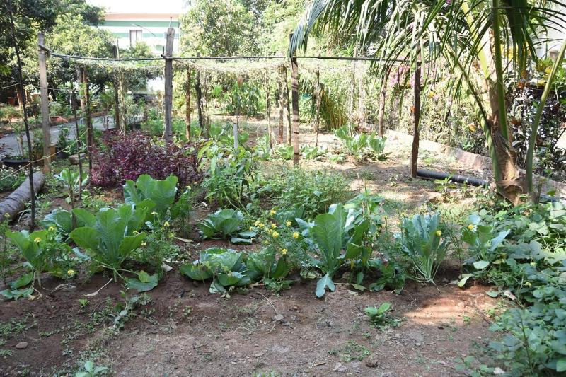 Bapunchi Wadi beach-house - image 30