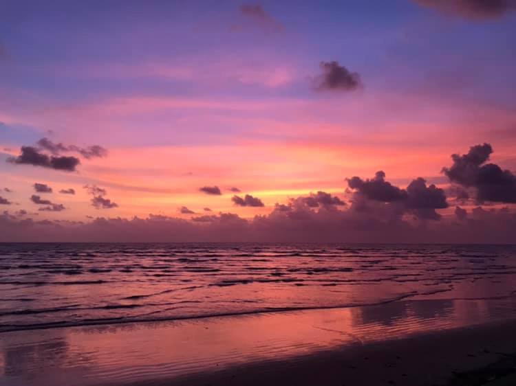 Bapunchi Wadi beach-house - image 5