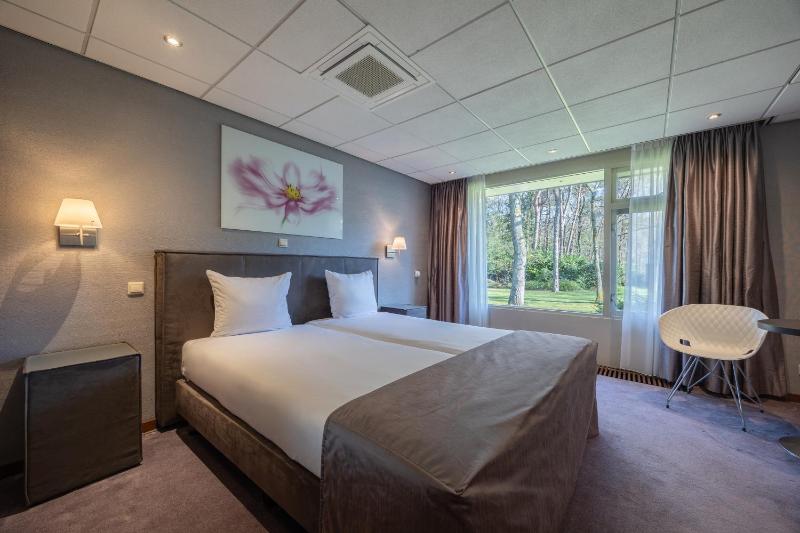 Deluxe Room With Air Conditioning image 1