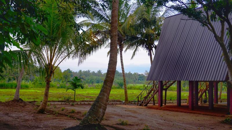 Paddy view cabana sigiriya - image 2