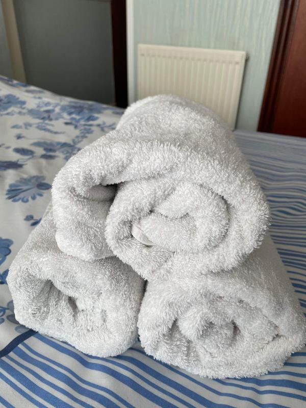 Roselea Hotel - St Chads - image 8