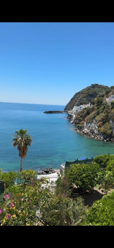 Hotel Casa Rosa Sea & Spa - image 41