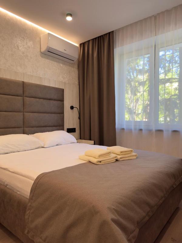 Double Room image 1