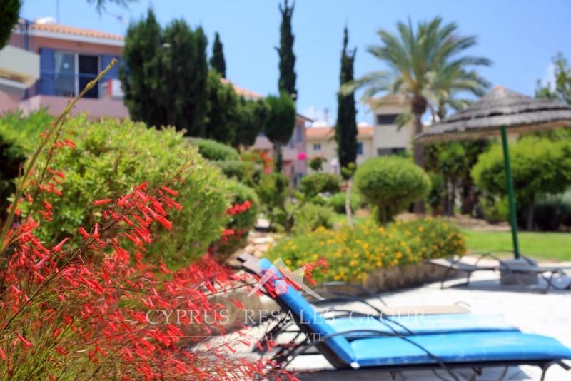 Beautiful 1-bd Ap near the beach historic places - image 13