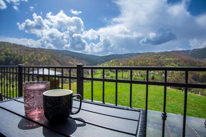 Lux Vila Pastir - ZLATIBOR-Ljubiš - image 14