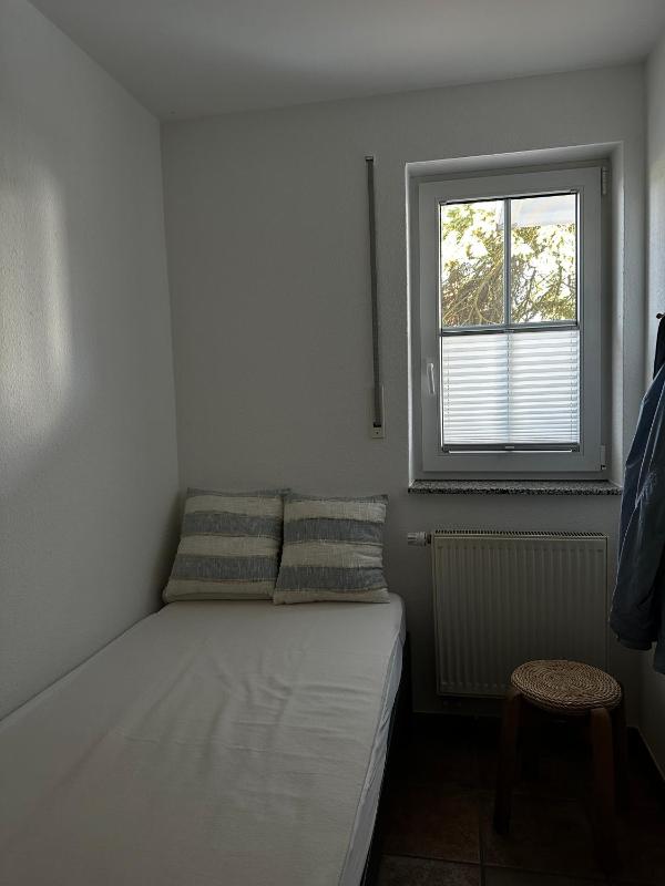 Igel - image 3