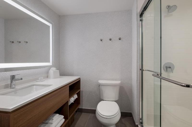 Home2 Suites by Hilton Houston Downtown Convention Center - image 18