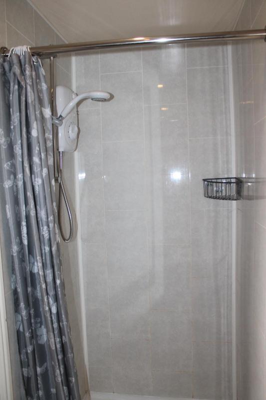 Large Family Room image 2