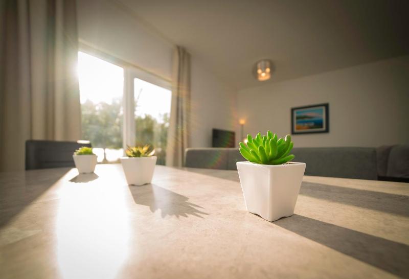 Two-Bedroom Apartment with Terrace and Sea View image 4