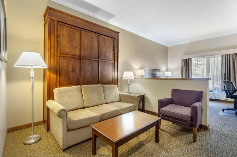 Mini King Suite image 4