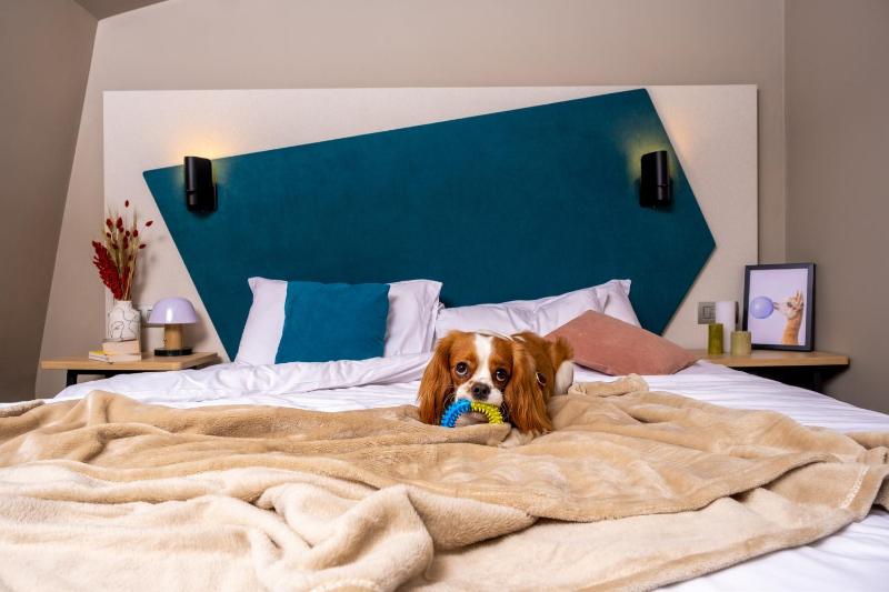 Studio with Double Bed image 3