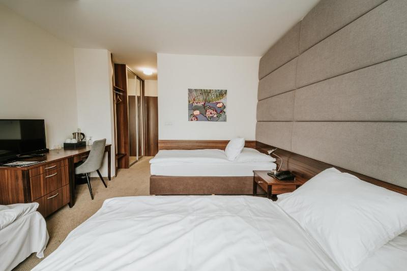 Double or Twin Room with Extra Bed image 1