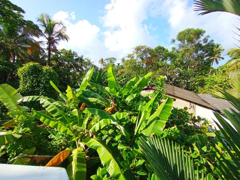 Bluebell Villa Mirissa - image 16