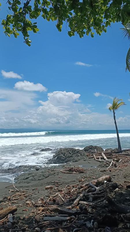 Coconut Lodge Bambu - image 11