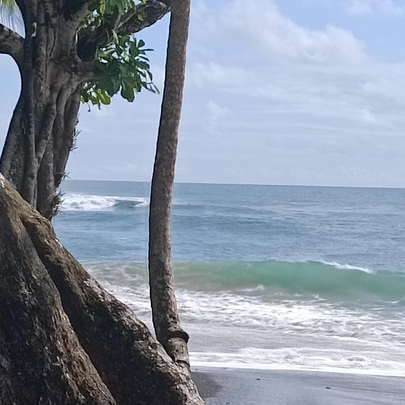 Coconut Lodge Bambu - image 6