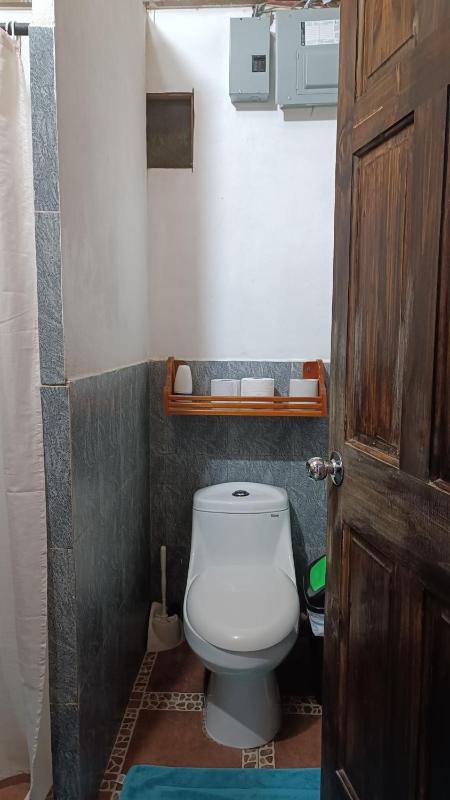 Coconut Lodge Bambu - image 5