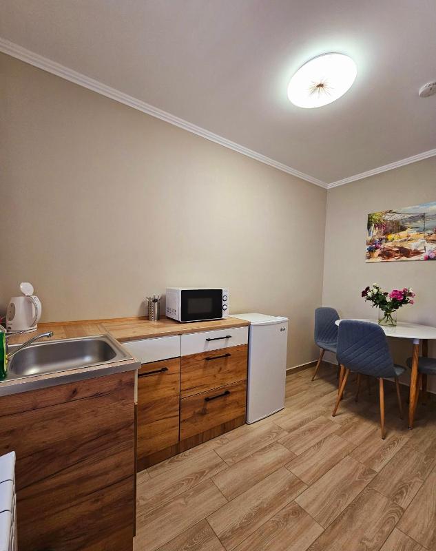 One-Bedroom Apartment image 4
