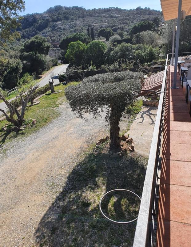 Hotel Nuevo Ondina - image 35
