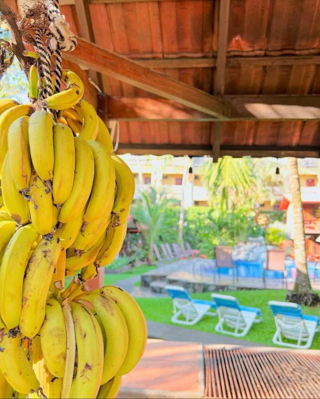 Hotel Los Ranchos - image 16