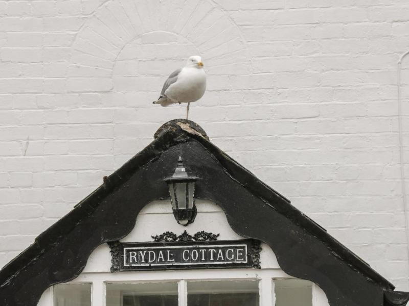 Rydal Cottage - image 14
