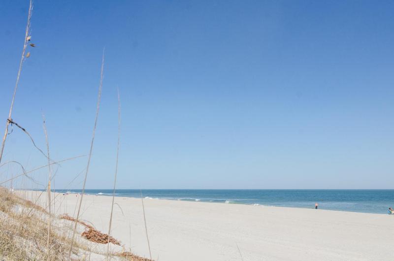 Janssen by Bryant Real Estate - image 3