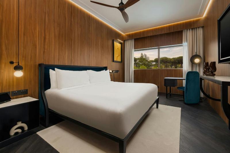 Deluxe EUR King Room image 4