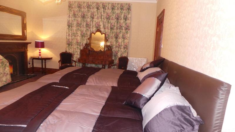 Deluxe Double or Twin Room image 1