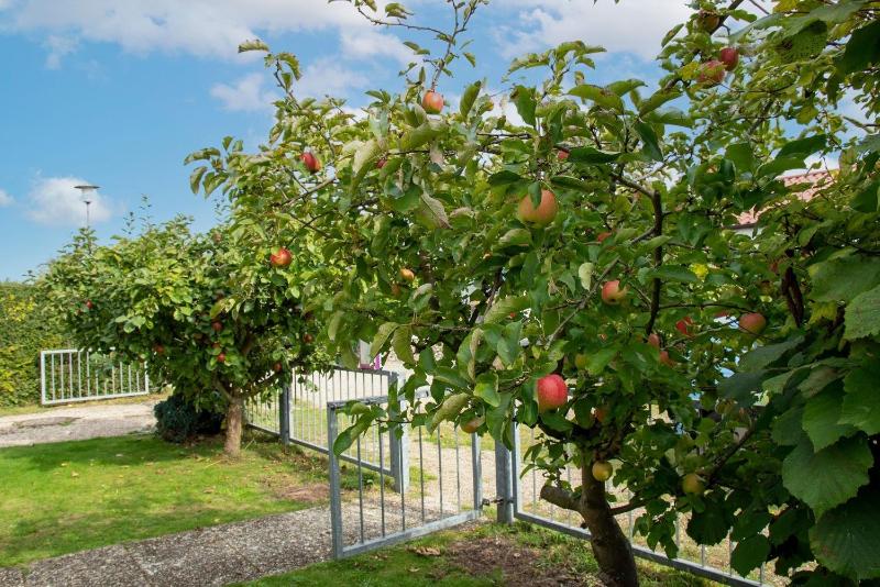 Cottage am Meer - image 15