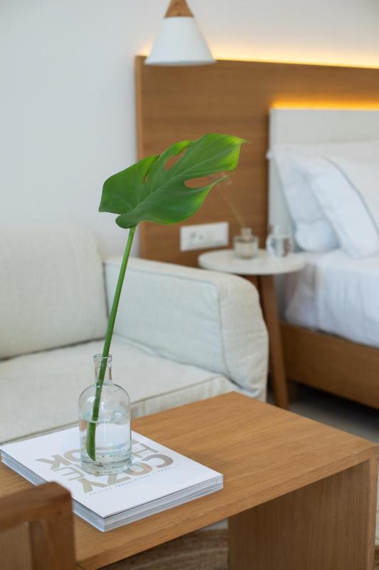 Classic Double or Twin Room image 4