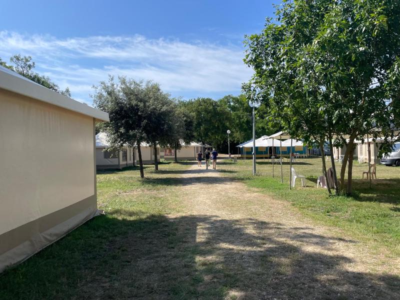 Camping Le Soleil - image 6