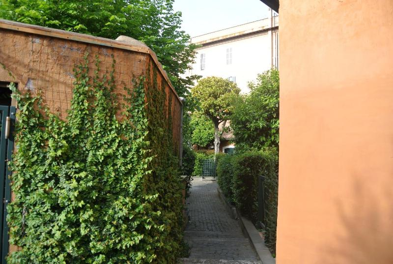 One-Bedroom Apartment image 4