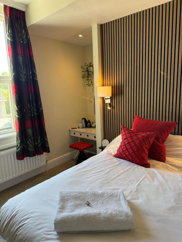 Superior Single Room image 4