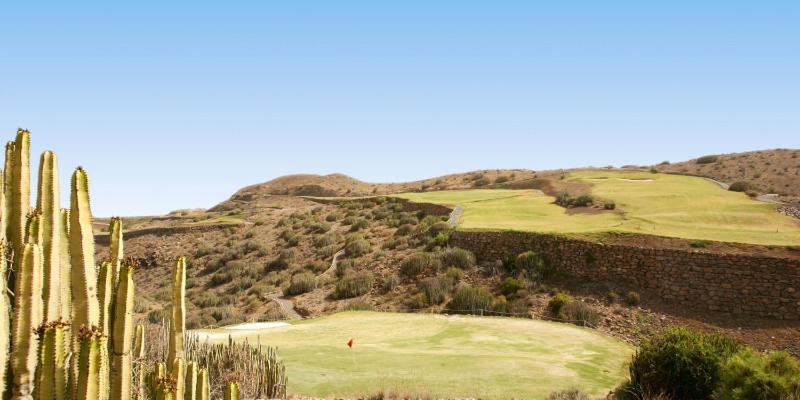 Las Terrazas 14 by Villagrancanaria - image 38
