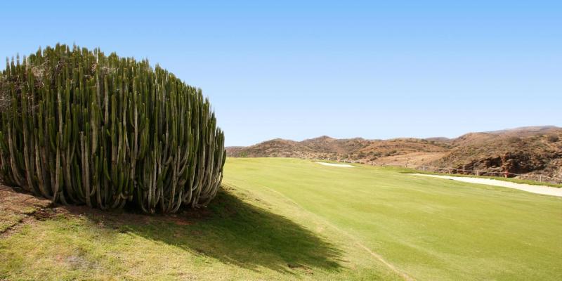 Las Terrazas 14 by Villagrancanaria - image 31