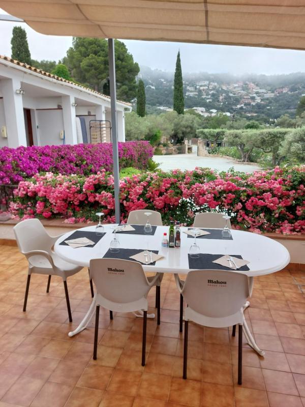 Hotel Nuevo Ondina - image 37