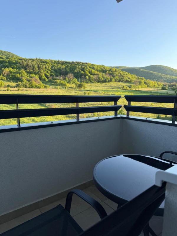 Milka apartman Sokobanja - image 9