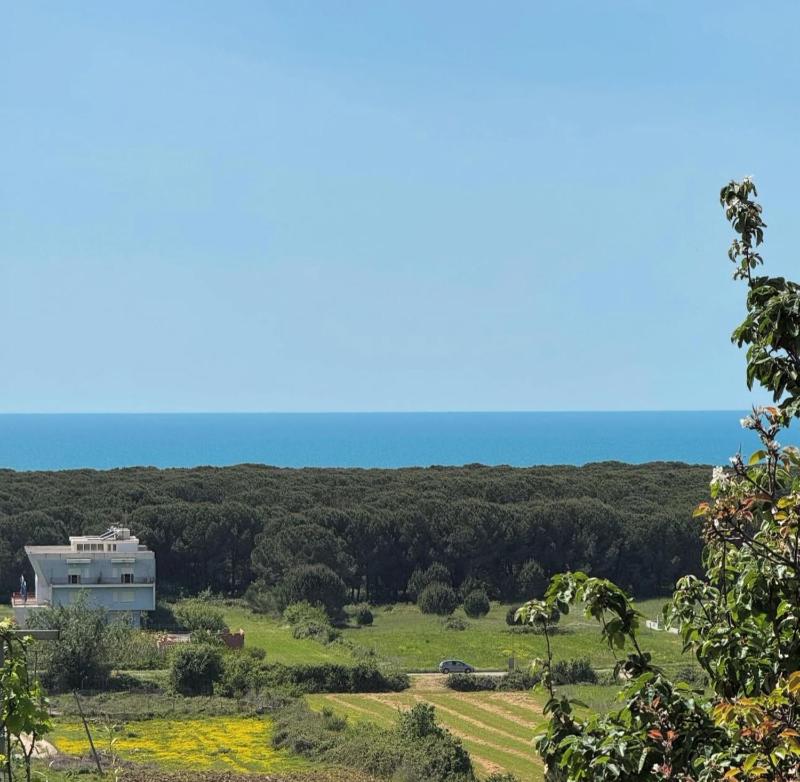Bellavista Villa - image 2
