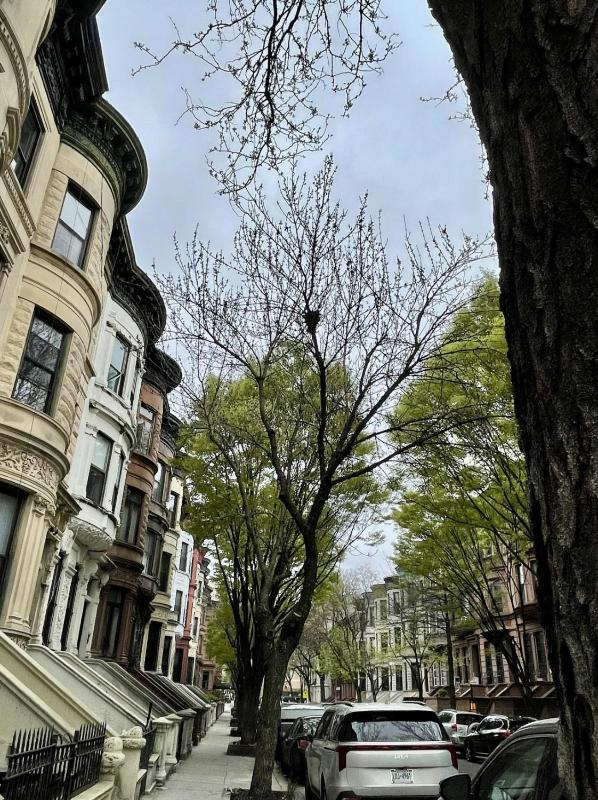 NYC Townhouse Apartment - image 9