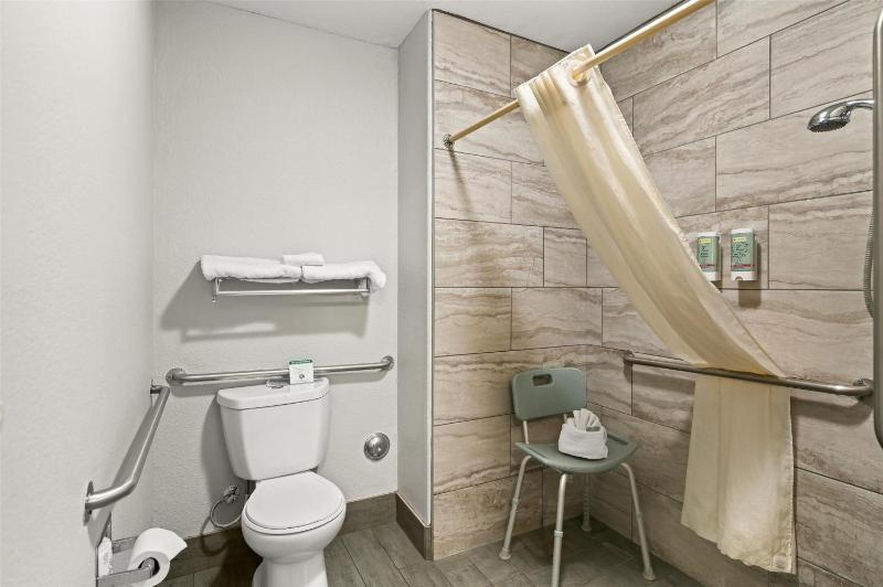 Queen Room with Roll In Shower - Accessible/Non Smoking image 2