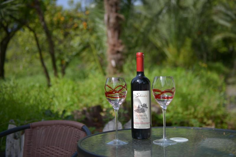 One-Bedroom Apartment image 4