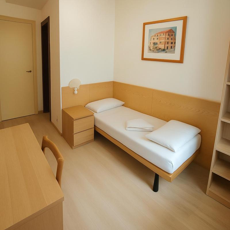 Single Room image 1