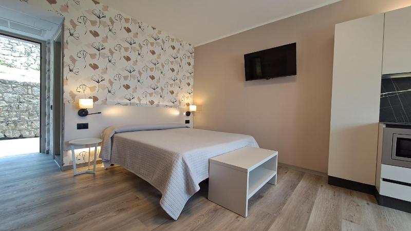 Studio (2 Adults) with Lake View image 4