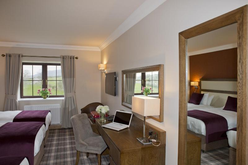 Superior Double Room image 2