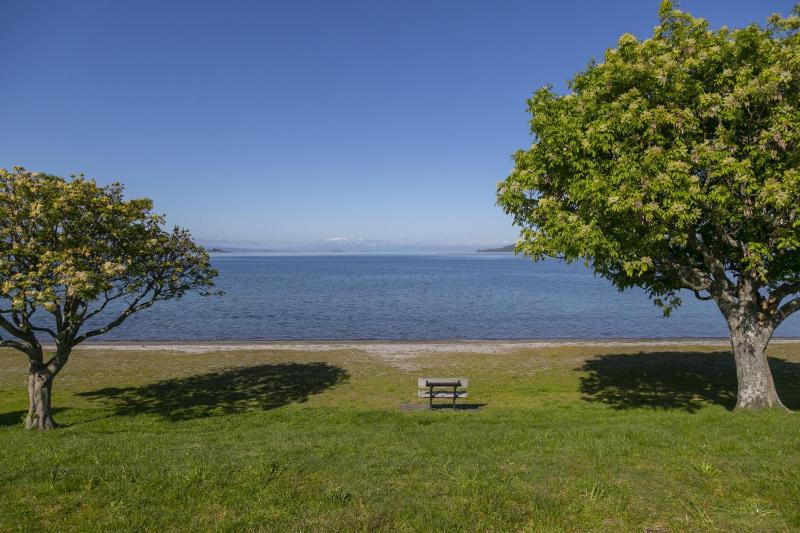 Lake Front Oasis - three bedroom retreat close to Lake Taupo waterfront - image 24
