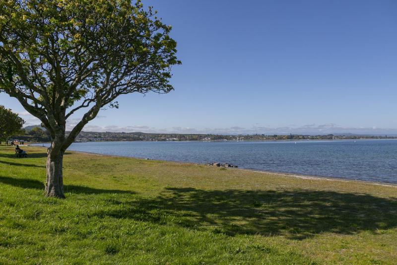 Lake Front Oasis - three bedroom retreat close to Lake Taupo waterfront - image 23