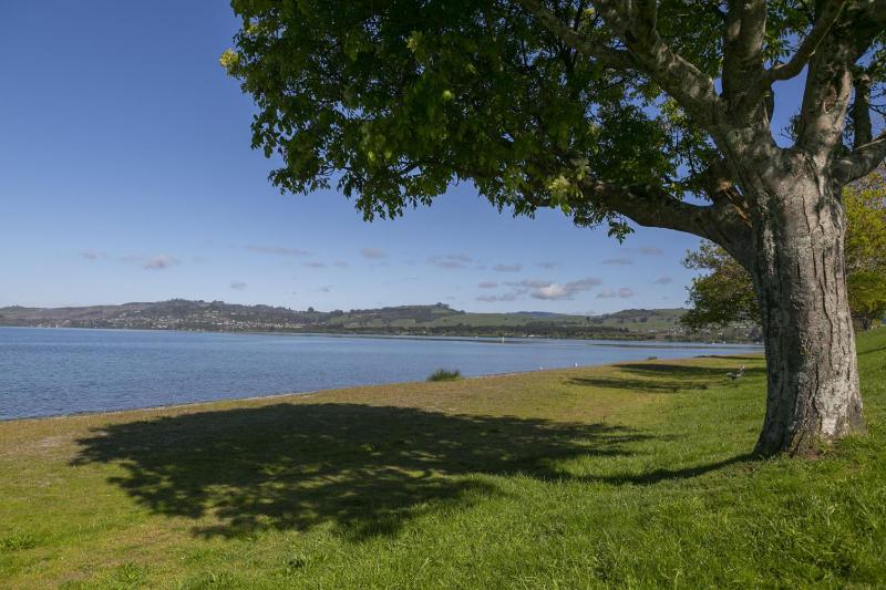 Lake Front Oasis - three bedroom retreat close to Lake Taupo waterfront - image 8
