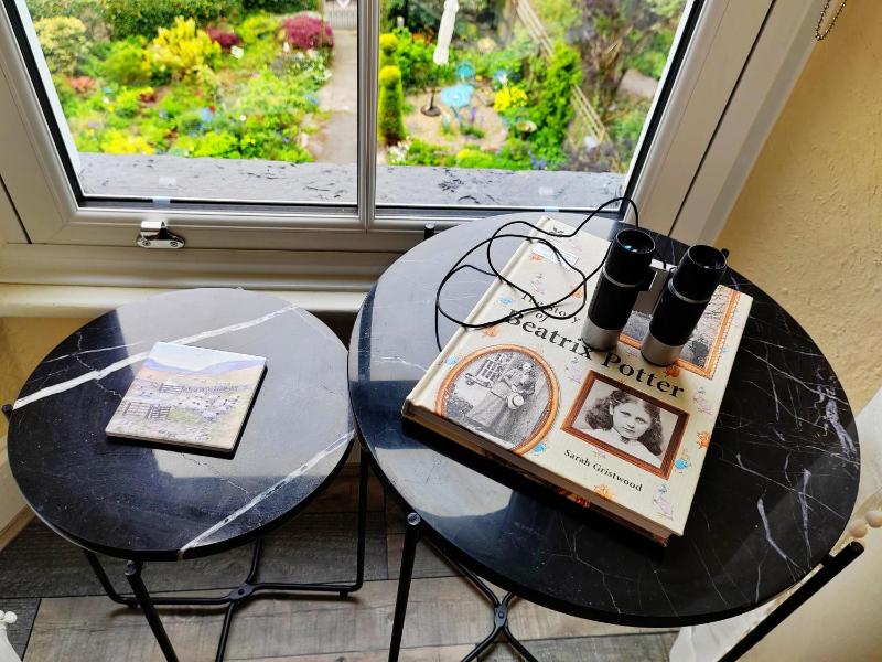 Deluxe Single Room image 4